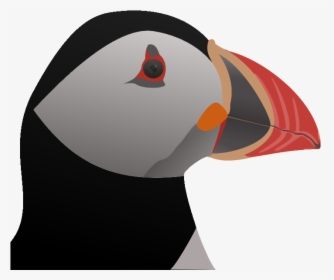 Turkey, HD Png Download, Free Download