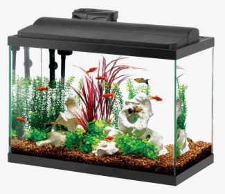 Aquarium Fish Tank Png - 20 30 Gallon Fish Tank, Transparent Png, Free Download