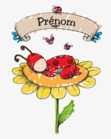 Sticker Prenom Personnalisable Bebe Coccinelle Ambiance - Don Baxter Ce Zici, HD Png Download, Free Download