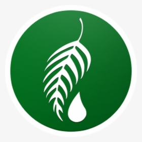 Thumb Image - Logo Melaleuca Png, Transparent Png, Free Download