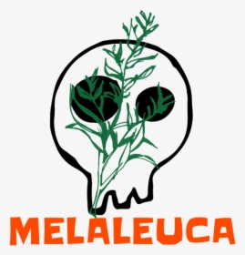 Melaleuca - Illustration, HD Png Download, Free Download