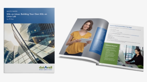 Datavail White Paper - Banner, HD Png Download, Free Download
