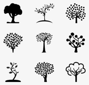 Tree Vector Icon Png, Transparent Png, Free Download
