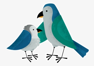 Two Birds Interacting - Lovebird, HD Png Download, Free Download