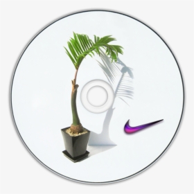 Vaporwave , Png Download - Houseplant, Transparent Png, Free Download