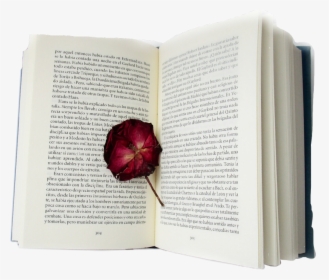 #sticker #aesthetic #flower #red #art #pretty #book, HD Png Download, Free Download