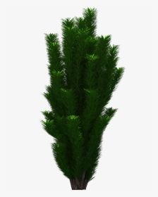 Tree Png Download Real Tree Png For Photoshop Picsart - Grass, Transparent Png, Free Download