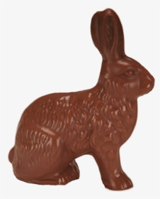 Chocolate Jack Rabbit - Domestic Rabbit, HD Png Download, Free Download