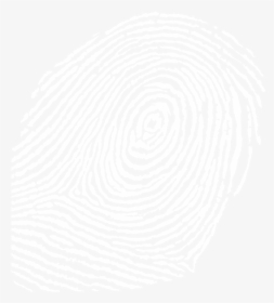 Fingerprint Vector Png , Png Download - Vortex, Transparent Png, Free Download
