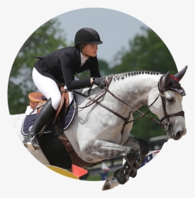 Kerry Mccahill Testimonial - Equitation, HD Png Download, Free Download