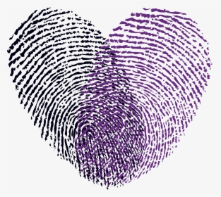 Ccb Fingerprint Logo Colored - Fingerprint Heart Free Vector, HD Png Download, Free Download