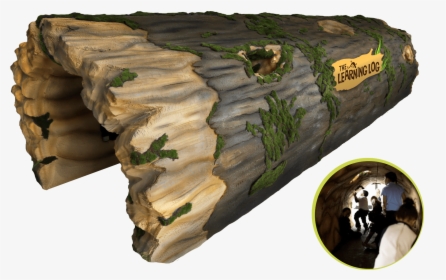 Imagine A Giant Fallen Tree, Hollowed Out And , Png - Tree, Transparent Png, Free Download