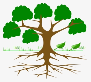 Tree Clipart With Roots - Tree With Roots Cartoon, HD Png Download, Free Download