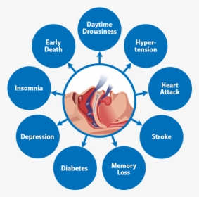 Risk Factor Of Osa, HD Png Download, Free Download