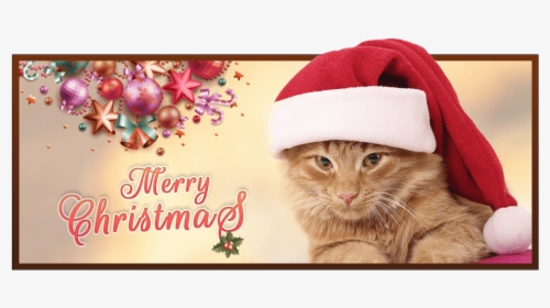 Merry Christmas - Tabby Cat, HD Png Download, Free Download