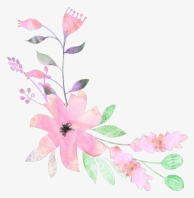 #flowers #floral #elements #watercolor - Gilliflower, HD Png Download, Free Download