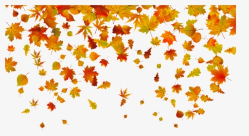 Free Png Transparent Fall Leaves Png Images Transparent - Transparent Background Fall Leaves Png, Png Download, Free Download
