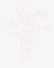Vert-floral - Sketch, HD Png Download, Free Download