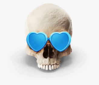 Skull, HD Png Download, Free Download