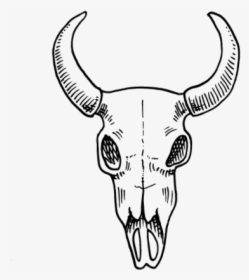 Skull - Bull, HD Png Download, Free Download