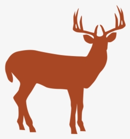 Home North River Outfitting - White Tailed Deer Icon, HD Png Download, Free Download