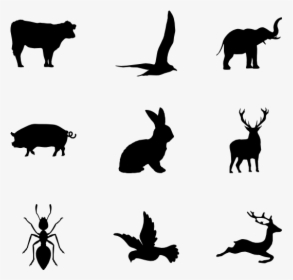 Wildlife Icons, HD Png Download, Free Download