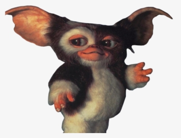 Gizmo Png 7 » Png Image - Gremlins Before They Change, Transparent Png, Free Download