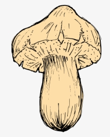 Mushroom Drawing 2 - Russula Integra, HD Png Download, Free Download