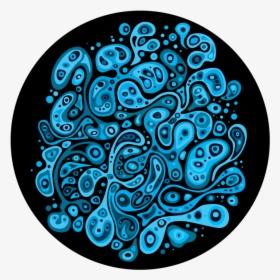 Circle, HD Png Download, Free Download
