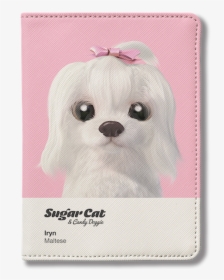 Shih Tzu, HD Png Download, Free Download