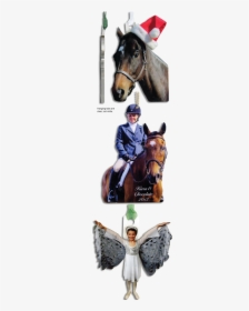 Equitation, HD Png Download, Free Download