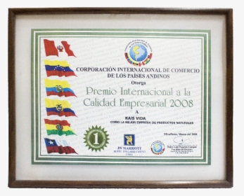Premio Internacional A La Calidad Empresarial - Diploma, HD Png Download, Free Download