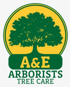 A&e Arborists Tree Care - Transparent Oak Tree Logo, HD Png Download, Free Download