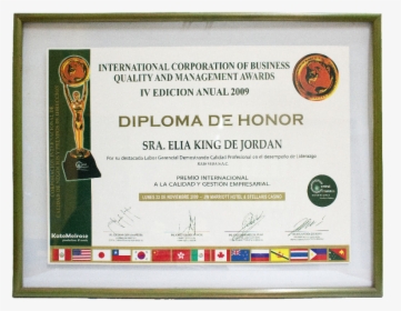 Premio Internacional A La Calidad Y Gestion Empresarial - Diplomas De Campeonato Voley, HD Png Download, Free Download
