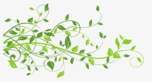 Free Png Download Spring Decor With Leaves Png Images - Leaf Green Design Png, Transparent Png, Free Download