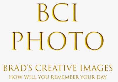 Brad"s Creative Images - Tan, HD Png Download, Free Download