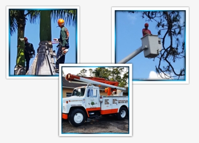Tree Removal Wellington - Tow Truck, HD Png Download, Free Download