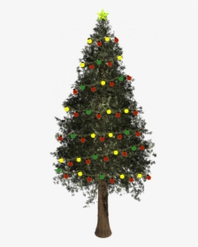 Png Christmas Tree Light, Transparent Png, Free Download