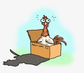 Live Baby Chickens , Png Download - Cartoon, Transparent Png, Free Download