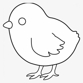 Chick Coloring Pages Cute Baby Chick Coloring Pages - White On Black Chicken Clipart, HD Png Download, Free Download