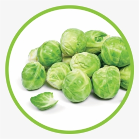 Brussel Sprouts Md Circle - Brussels Sprouts White Background, HD Png Download, Free Download