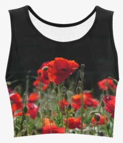 Red Poppies, Poppy, Nature Women"s Crop Top - Black Crop Top With Stars, HD Png Download, Free Download