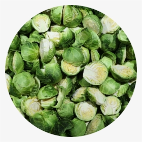 Brussel Sprouts - Brussels Sprout, HD Png Download, Free Download