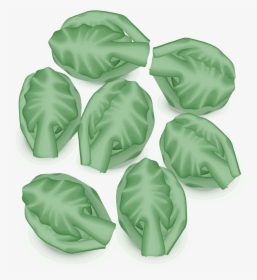 Free Vector Brussel Sprout Transparent, HD Png Download, Free Download