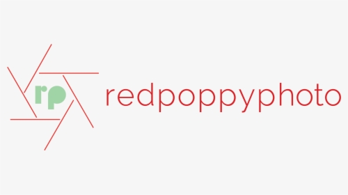 Red Poppy Photo - Rp Photography Logo Full Hd Png, Transparent Png, Free Download