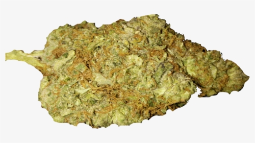 Bud Png & Free Bud Transparent Images - Cannabis Bud Png, Png Download, Free Download