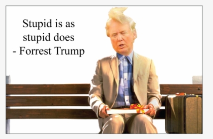 Forrest Trump Magnet - Donald Trump Stupid Is As Stupid Does, HD Png Download, Free Download