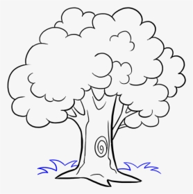 Sketch Cartoon Tree Drawing, HD Png Download, Free Download