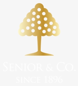 Senior And Company Curacao, HD Png Download, Free Download