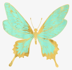 #butterflies #butterfly #pastel #mintgreen #gold #golden - Papilio, HD Png Download, Free Download